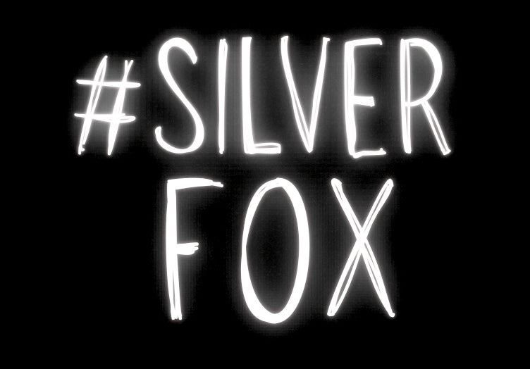 # Silver Fox - Greeting Card