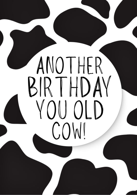 Old Cow - Greeting Card